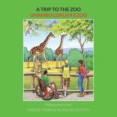 bokomslag A Trip to the Zoo: English-Ndebele Bilingual Edition