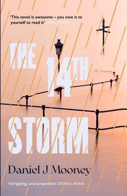 The 14th Storm 1