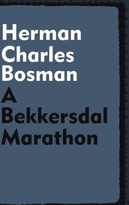 bokomslag A Bekkersdal Marathon