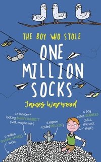bokomslag The Boy Who Stole One Million Socks: a brilliantly funny children's book to inspire young eco-warriors