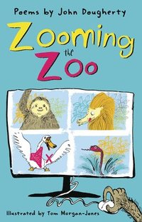 bokomslag Zooming the Zoo
