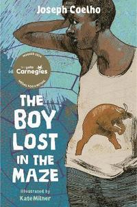 bokomslag Boy Lost in the Maze