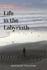 bokomslag Life in the Labyrinth