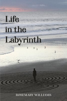 Life in the Labyrinth 1