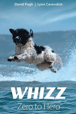 David Pugh, Lynn Cavendish - Whizz, Häftad