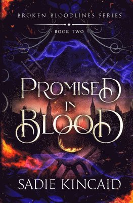 bokomslag Promised in Blood