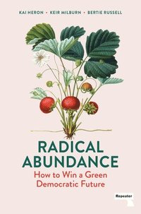 bokomslag Radical Abundance: How to Win a Green Democratic Future