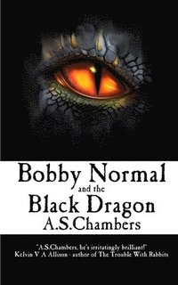 bokomslag Bobby Normal and the Black Dragon