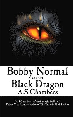 bokomslag Bobby Normal and the Black Dragon
