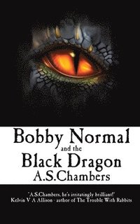 bokomslag Bobby Normal and the Black Dragon