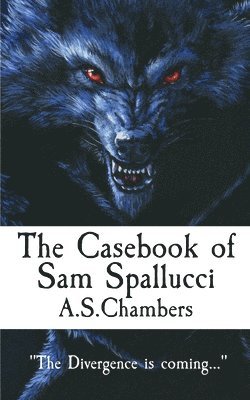 bokomslag Casebook of Sam Spallucci
