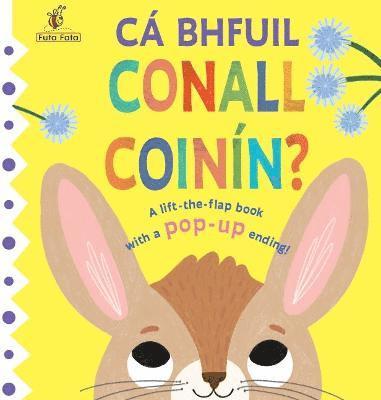 bokomslag Ca bhfuil Conall Coinin?