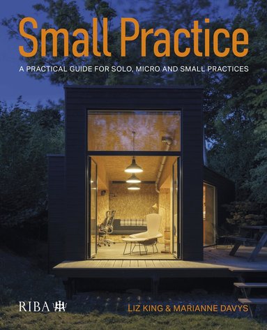 Liz King, Marianne Davys - Small Practice, Häftad