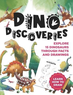 bokomslag Dino Discoveries