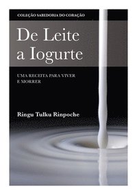 bokomslag De Leite a Iogurte