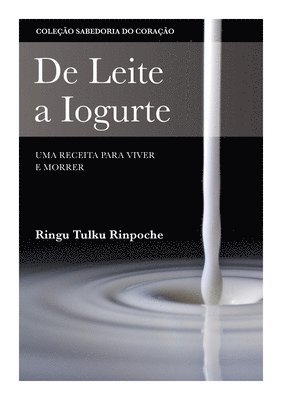 bokomslag De Leite a Iogurte