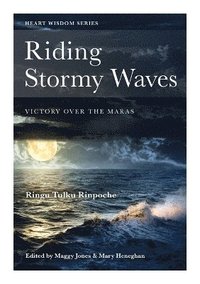 bokomslag Riding Stormy Waves