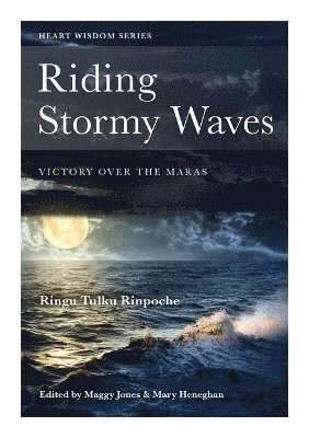 Riding Stormy Waves 1