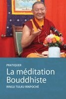 Ringu Tulku - Pratique La méditation Bouddhiste, Häftad