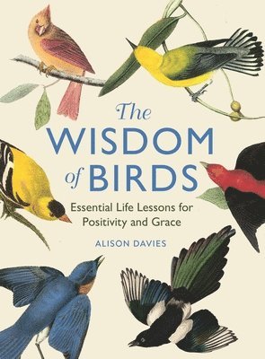 Wisdom of Birds