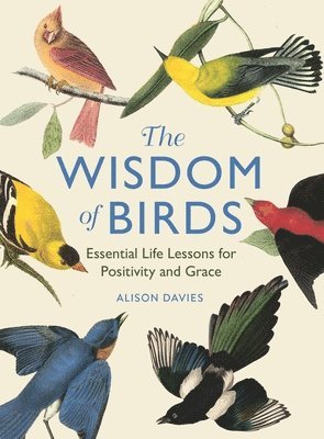 The Wisdom of Birds 1