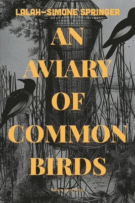 An Aviary of Common Birds 1