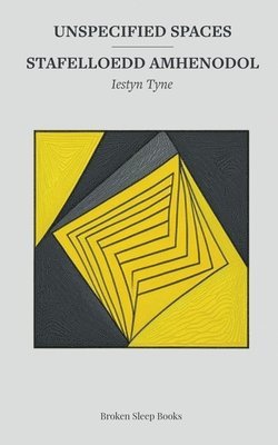 Iestyn Tyne - Unspecified Spaces, Häftad