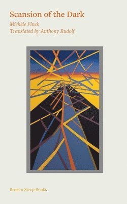 Michèle Finck - Scansion of the Dark, Häftad