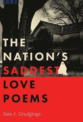 bokomslag Nation's Saddest Love Poems