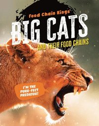 bokomslag Big Cats