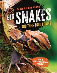bokomslag Big Snakes