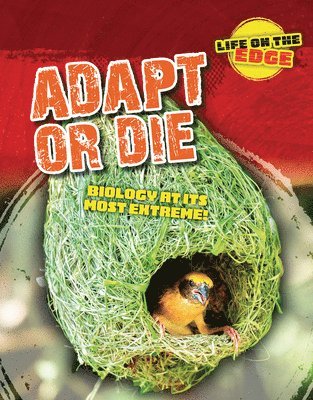 bokomslag Adapt or Die: Biology at Its Most Extreme!