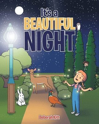 Deb Kitt - It's a Beautiful Night, Häftad