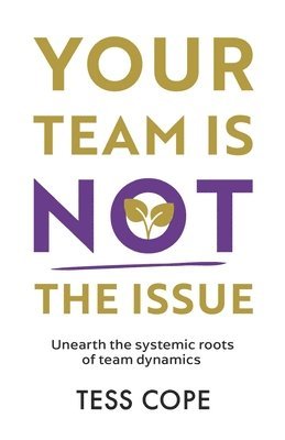 Your Team Is Not the Issue 1