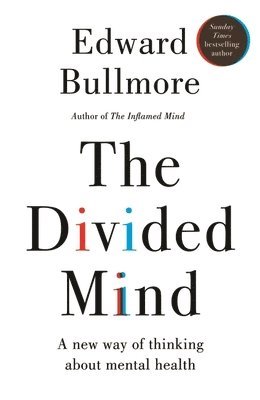 Divided Mind 1