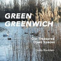 bokomslag Green Greenwich