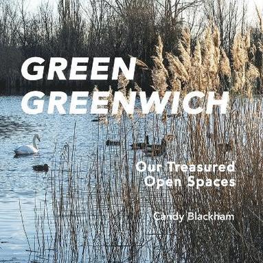 bokomslag Green Greenwich