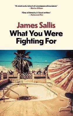 James Sallis - What You Were Fighting For, Häftad