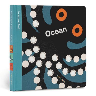Boxer Books - Spring Street Touch and Feel: Ocean, Kartonnage