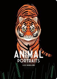 bokomslag Animal Portraits