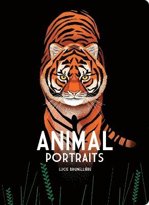 Animal Portraits 1