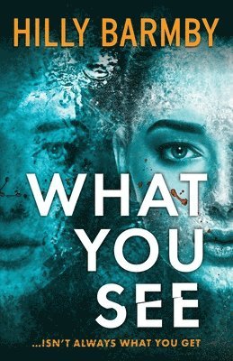 Hilly Barmby - What You See, Häftad