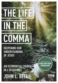 bokomslag The Life in the Comma: Deepening Our Understanding of Jesus