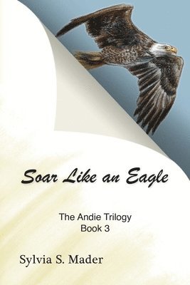 bokomslag Soar Like an Eagle