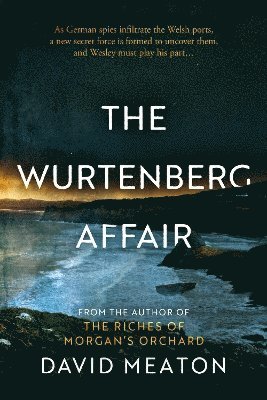 bokomslag Wurtenberg Affair