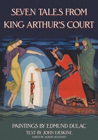 bokomslag Seven Tales from King Arthur's Court