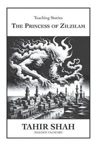 bokomslag Princess of Zilzilam