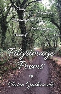 bokomslag Pilgrimage Poems