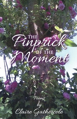 The Pinprick of the Moment 1
