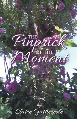 Claire Gathercole - Pinprick of the Moment, Häftad